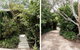 Oscars Garden - thumb 0