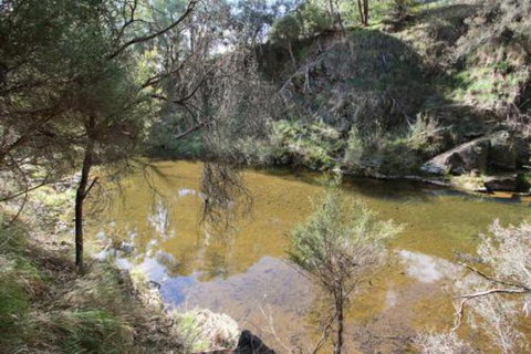 Alpine Streamside - Sydneys Hotel 3