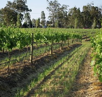 Renovated Cottage Aberdare Hunter Valley - Sydneys Hotel