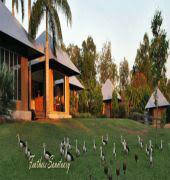 Feathers Sanctuary - Sydneys Hotel 6