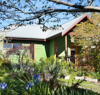 Hills End Iris - Sydneys Hotel