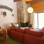 Grindelwald 1 / 39 Townsend Street - Sydneys Hotel 0
