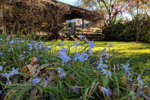 Alexander Cottage - Sydneys Hotel 3