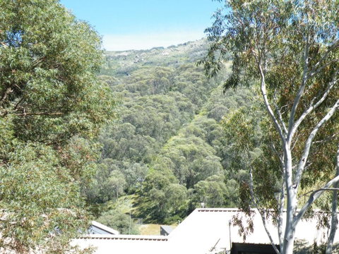 Mowamba E1 - Sydneys Hotel 4