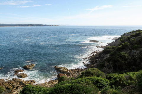 Tathra Hotel & Motel - Sydneys Hotel 5