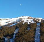 Thredbo 31 - Sydneys Hotel