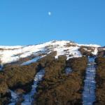Thredbo 31 - Sydneys Hotel 0