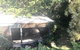 Birdhaven - thumb 6