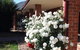 Gundaroo Manor Bed & Breakfast - thumb 1