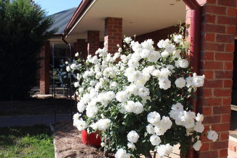 Gundaroo Manor Bed & Breakfast - Sydneys Hotel 1