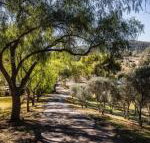 Capers Guesthouse Barn  Cottage - Sydneys Hotel