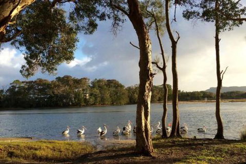 Lakehouse On Oxley - Sydneys Hotel 2