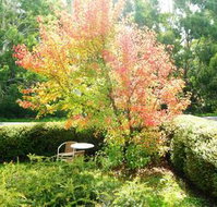 Acacia House Retreat Daylesford - Sydneys Hotel