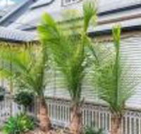 One Thornbury Boutique B  B - Sydneys Hotel