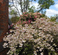 Merrimeet Cottages - Sydneys Hotel