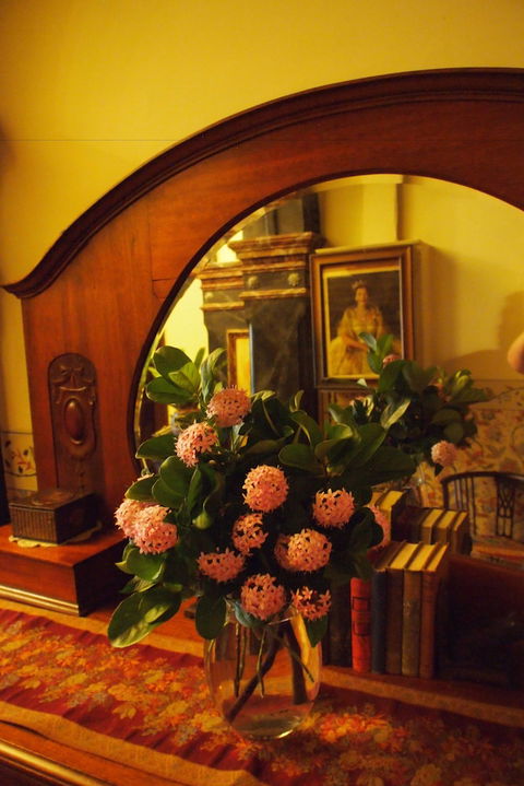 Vacy Hall Toowoomba's Grand Boutique Hotel - Sydneys Hotel 6