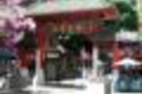 The Harbour Phoenix - Sydneys Hotel 4