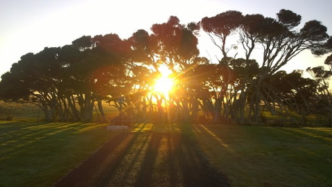 Low Head Tourist Park - Caravan Park - Sydneys Hotel 1