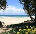 Ozone Shores - Sydneys Hotel