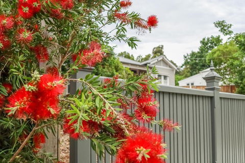 Vintage Charm On St. Leonards - Sydneys Hotel 5
