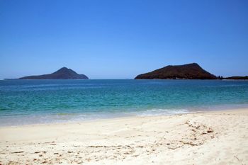 Radburn Unit 2 17 Ondine Close - Sydneys Hotel 4