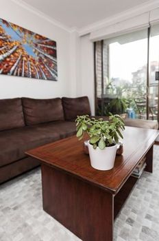 Potts Point Springfield Avenue (I) - Sydneys Hotel 1