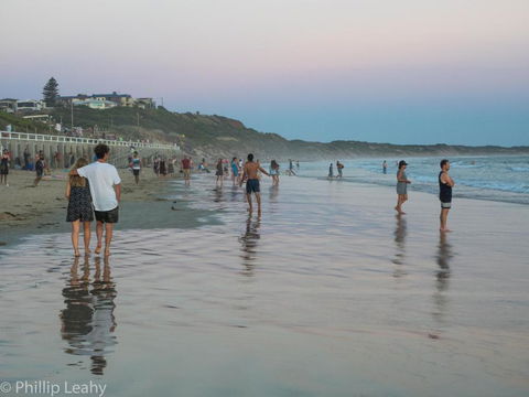 Alices Palace 2 Minute Walk To Lifeguard Patrolled Surf Beach - Sydneys Hotel 4