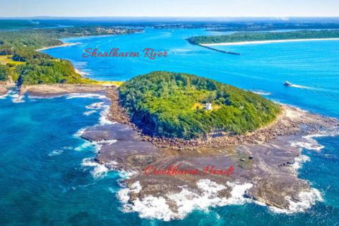 Dolphins Delight At Culburra Beach - Sydneys Hotel 4