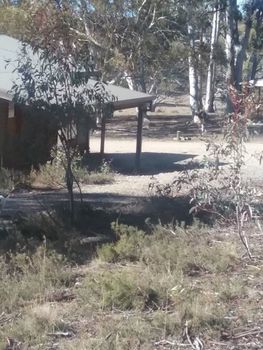 Gooandra Alpine Cabins - Sydneys Hotel 1