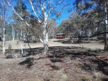 Gooandra Alpine Cabins - Sydneys Hotel 6