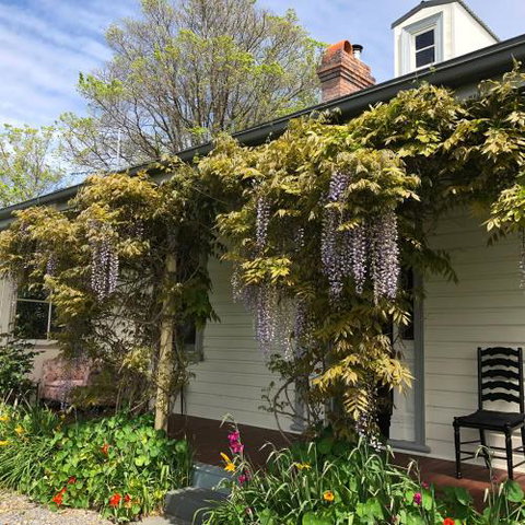 Clarence Cottage - Sydneys Hotel 5