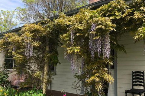 Clarence Cottage - Sydneys Hotel 0