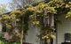 Clarence Cottage - thumb 1