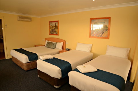 Bathurst Heritage Motor Inn - Sydneys Hotel 3
