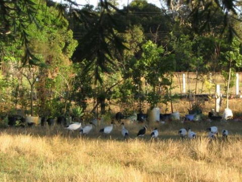 Armadale Farmstay Bed & Breakfast - Sydneys Hotel 5
