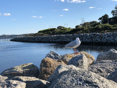 Albany Foreshore Guest House - Sydneys Hotel 3