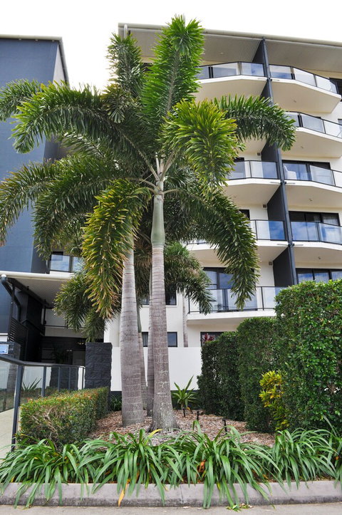 The Bay - Sydneys Hotel 2