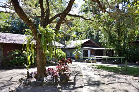 PKs Jungle Village - Hostel - Sydneys Hotel 5