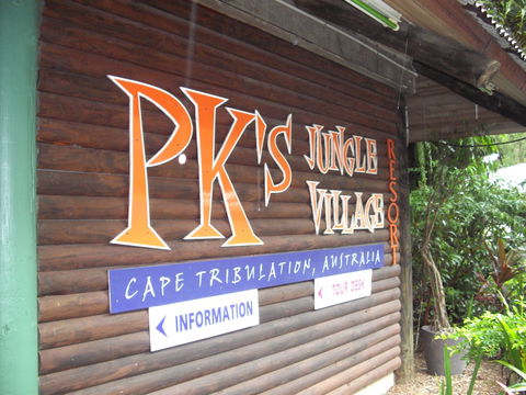 PKs Jungle Village - Hostel - Sydneys Hotel 0