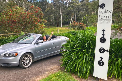 Valley Farm Vineyard Cottages - Sydneys Hotel 0
