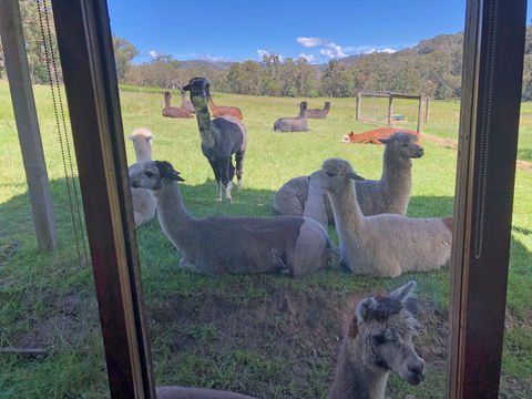 Valley Farm Vineyard Cottages - Sydneys Hotel 2