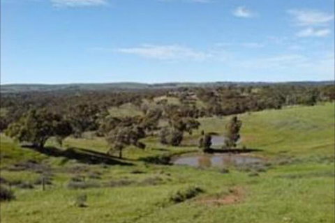 Clare View Accommodation - Sydneys Hotel 6