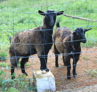 Alstonville Country Cottages - Sydneys Hotel