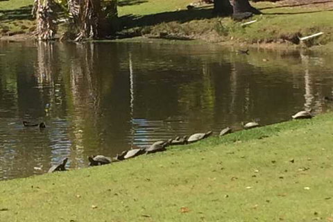 Sanctuary Lakes Fauna Retreat - Sydneys Hotel 1