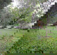 Amy's House - Sydneys Hotel