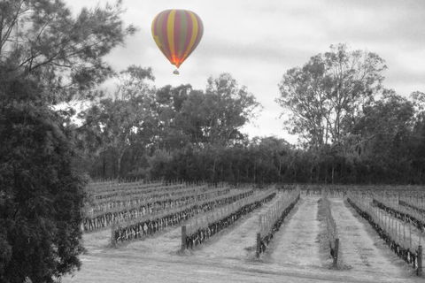 Adina Vineyard - Sydneys Hotel 5