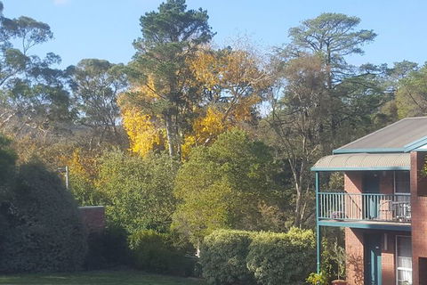 Hepburn Springs Motor Inn - Sydneys Hotel 5