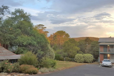 Hepburn Springs Motor Inn - Sydneys Hotel 4