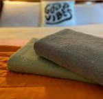 Bendigo Backpackers - Sydneys Hotel