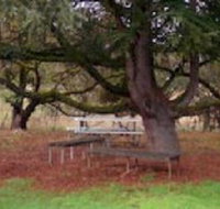 Auburn Shiraz Motel - Sydneys Hotel